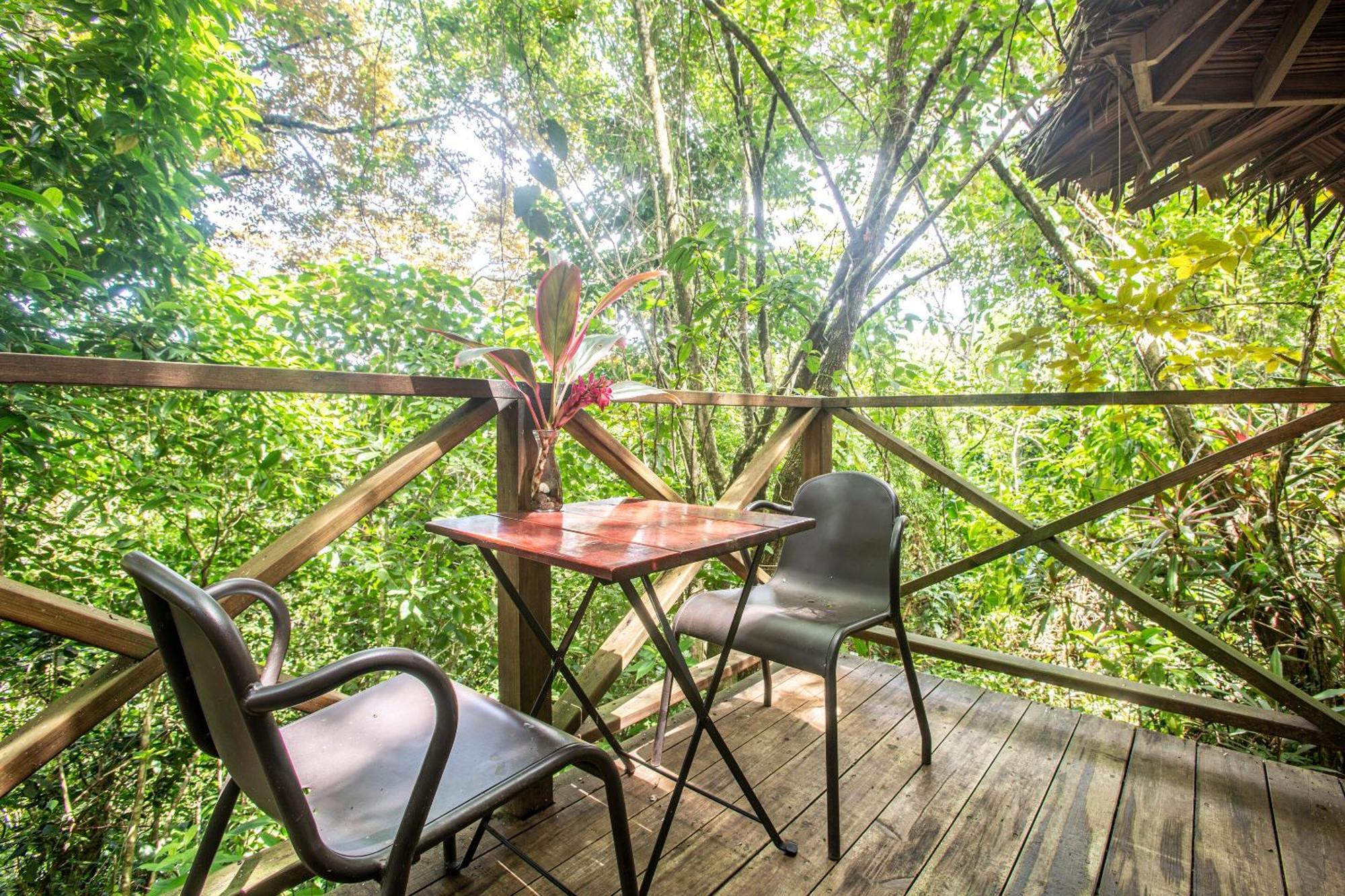 Hotel Socialtel Red Frog