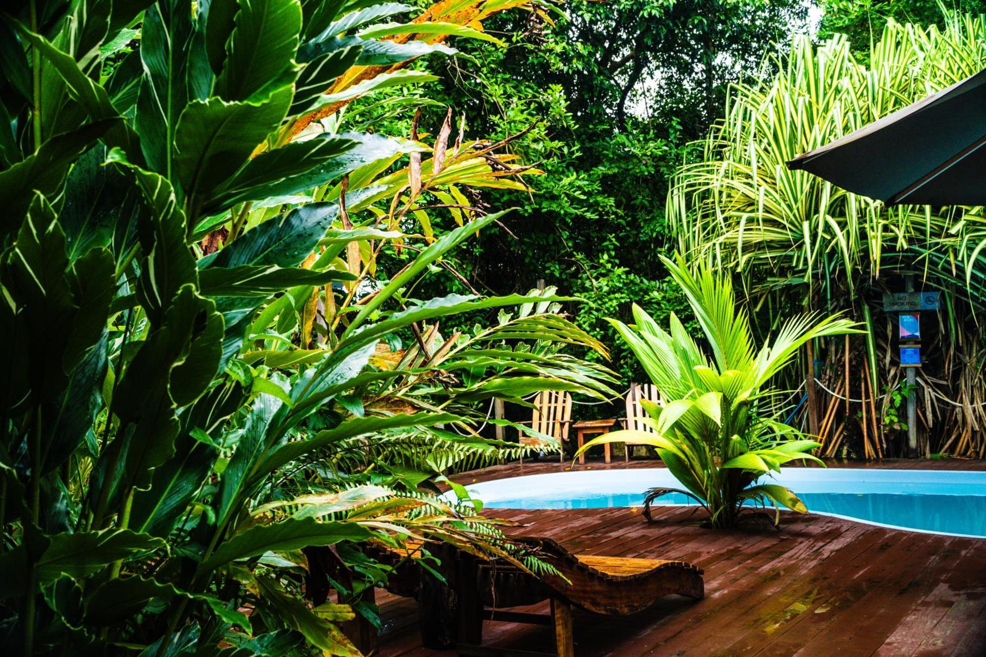Hotel Socialtel Red Frog Bocas del Toro