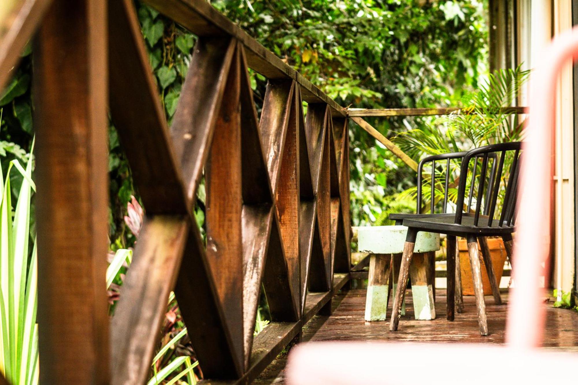 Socialtel Red Frog Hotel Bocas del Toro