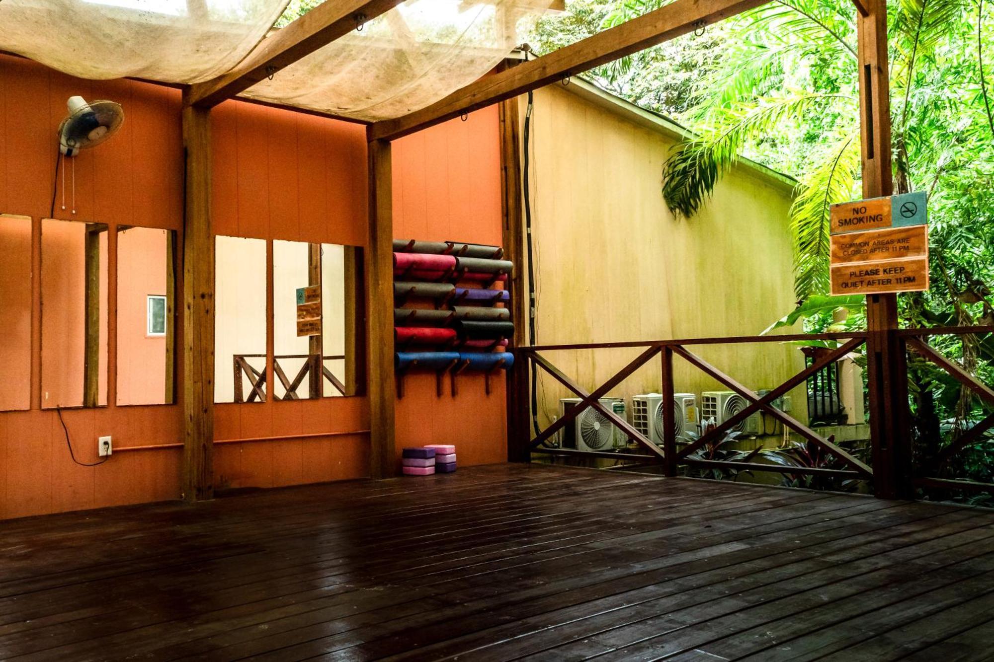 Socialtel Red Frog 3*