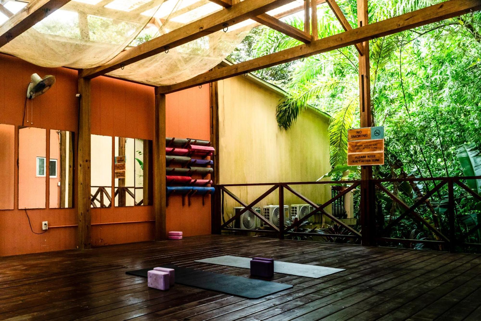 Socialtel Red Frog 3* Bocas del Toro